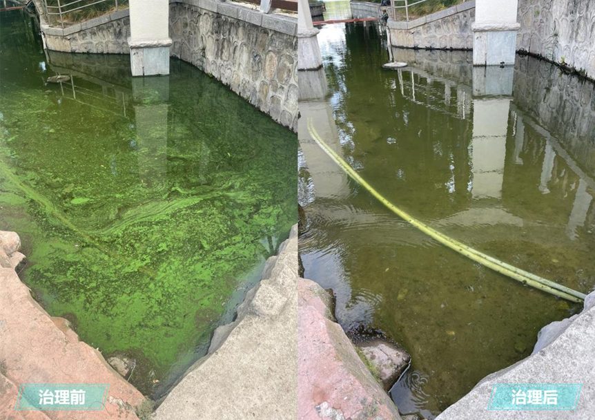 1687658842740918.png 1687658842740918.png