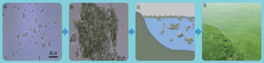 1687658958184566.png a1408d6b196bbe75a792cdbbb8717dbe.png