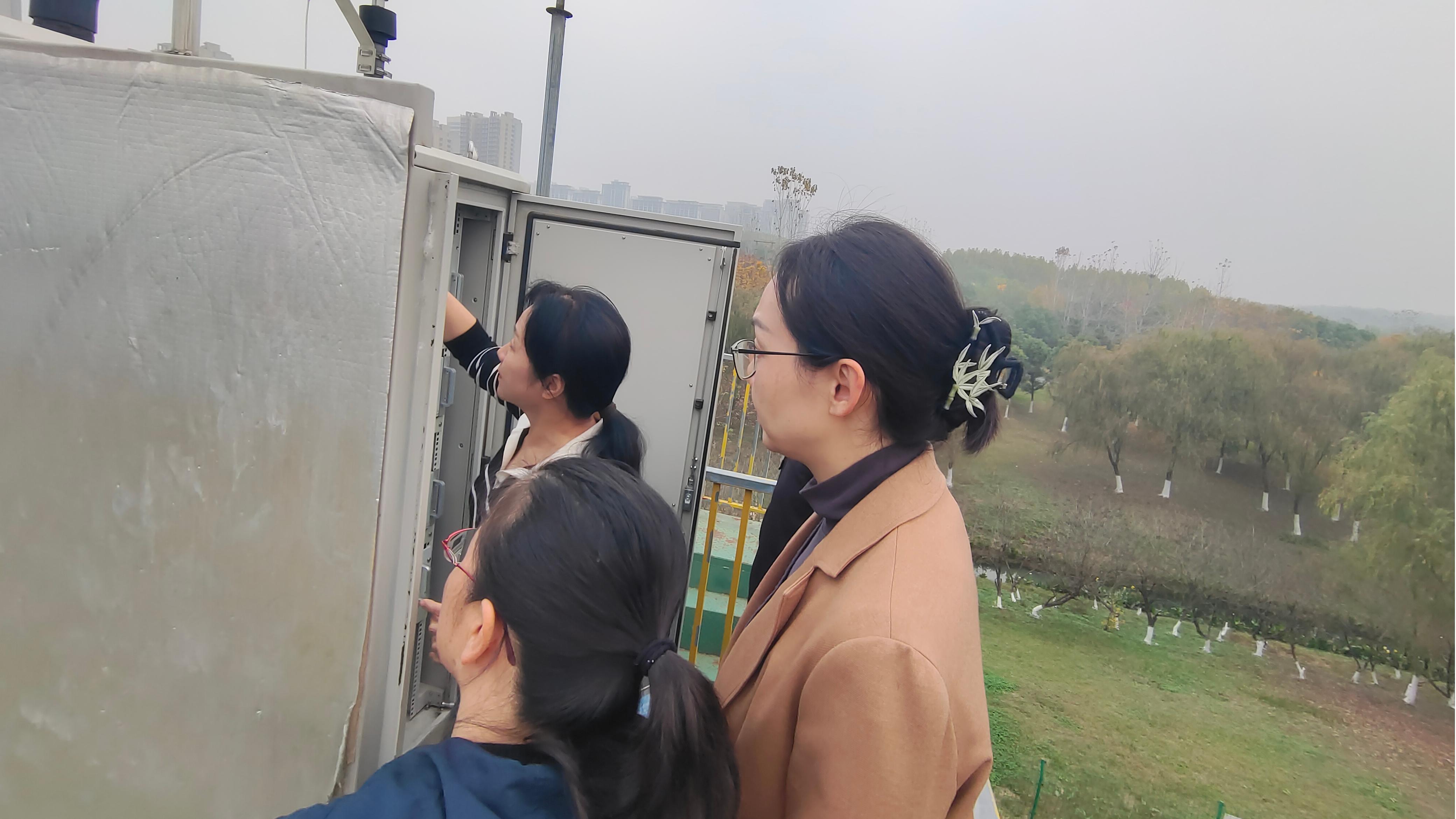 1732848324741626.jpg 1732848324741626.jpg